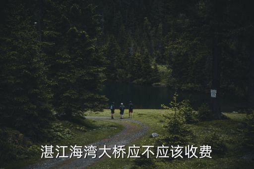湛江海灣大橋應不應該收費