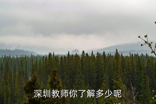 深圳教師你了解多少呢