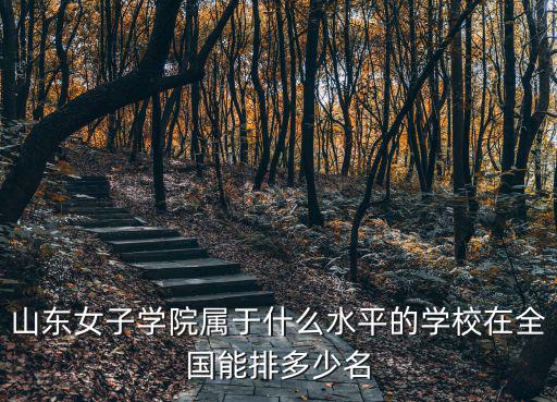 山東女子學院屬于什么水平的學校在全國能排多少名