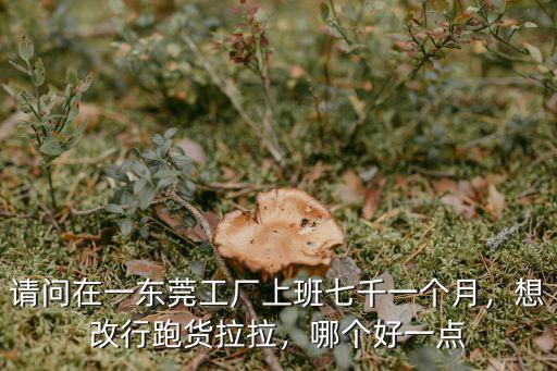 請問在一東莞工廠上班七千一個月，想改行跑貨拉拉，哪個好一點