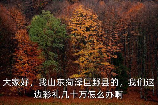 大家好，我山東菏澤巨野縣的，我們這邊彩禮幾十萬怎么辦啊