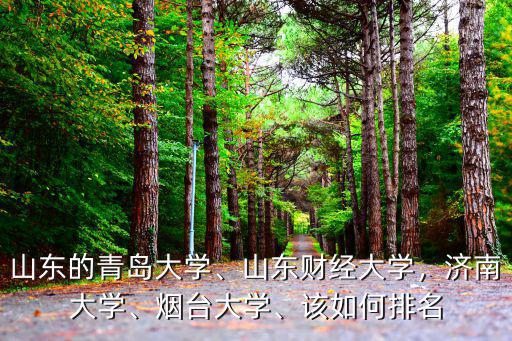 山東的青島大學(xué)、山東財經(jīng)大學(xué)，濟南大學(xué)、煙臺大學(xué)、該如何排名
