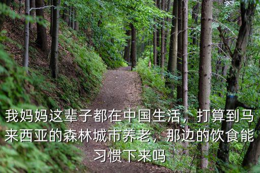 我媽媽這輩子都在中國生活，打算到馬來西亞的森林城市養老，那邊的飲食能習慣下來嗎