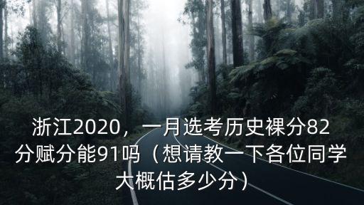 浙江2020，一月選考歷史裸分82分賦分能91嗎（想請教一下各位同學大概估多少分）