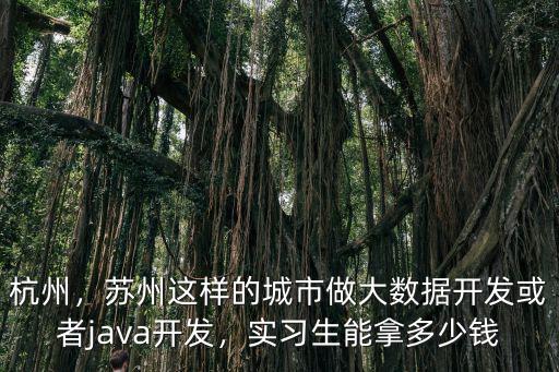 杭州，蘇州這樣的城市做大數據開發或者java開發，實習生能拿多少錢