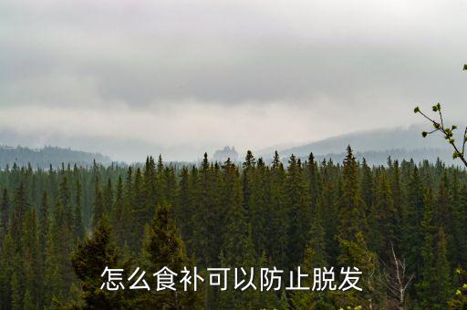 怎么食補(bǔ)可以防止脫發(fā)