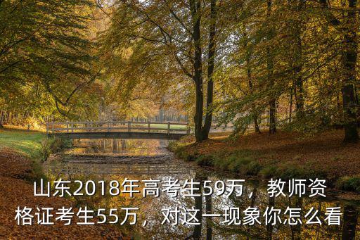 2019年山東的有多少萬高考生,山東2018年高考生59萬