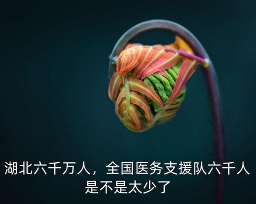 湖北六千萬人，全國醫務支援隊六千人是不是太少了