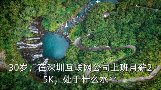 在深圳做互聯網研發月工資多少,本人在深圳做技術研發