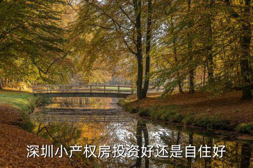 沒有深圳房票投資哪里,不想離開深圳