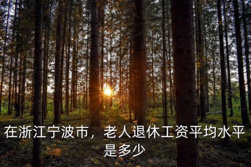 1993年寧波社平工資多少錢,寧波工資平均到個人有多少錢