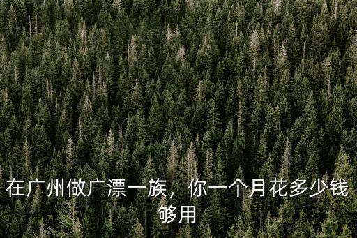 廣州車流量多少錢一個月多少錢,一個月能賺多少錢
