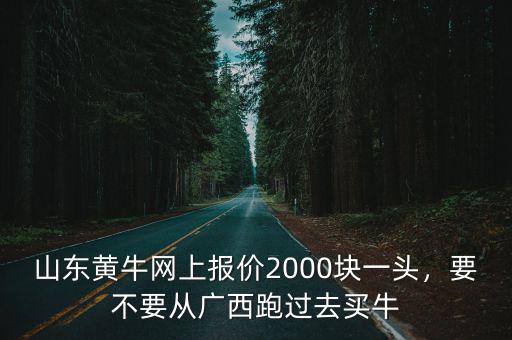 山東大牛多少錢一頭,九十年代一頭牛多少錢