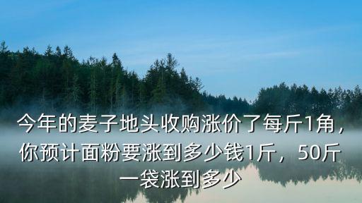 山東地頭麥子多少錢一斤,河南的小麥大概是多少錢一斤