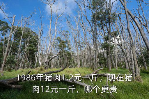 1986年豬肉1.2元一斤，現在豬肉12元一斤，哪個更貴