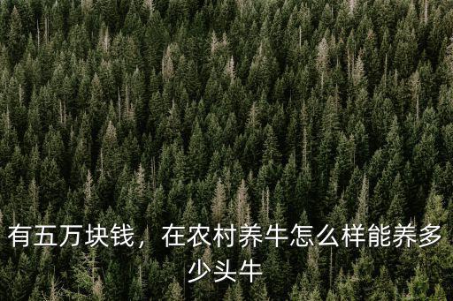山東買牛苗多少錢一頭,去山東買牛犢可靠嗎