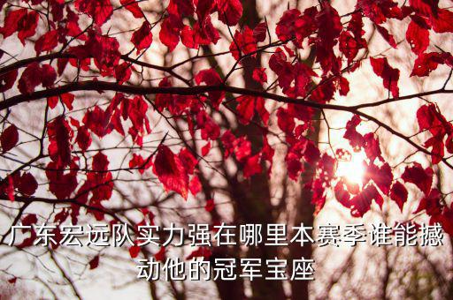 廣東宏遠隊實力強在哪里本賽季誰能撼動他的冠軍寶座