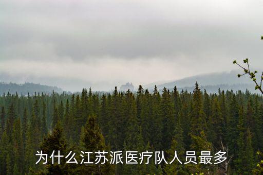 東莞派了多少醫療隊,中國要派醫療隊去美國嗎