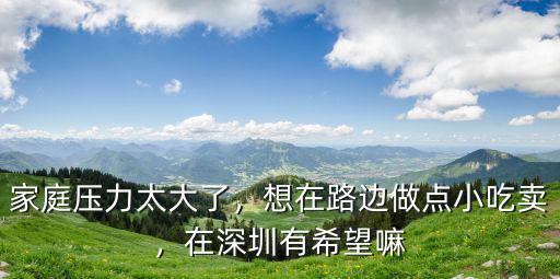 家庭壓力太大了，想在路邊做點小吃賣，在深圳有希望嘛