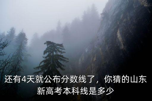 山東高考本科線劃到多少人,山東需要多少分