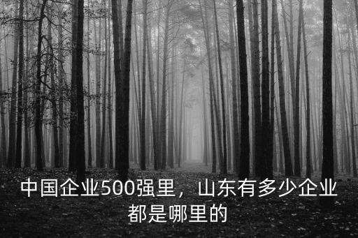 濟南有多少家國有企業,中國企業500強里