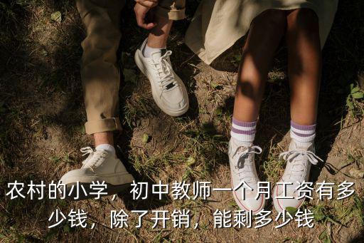 惠州小學老師一個月工資多少,初中教師一個月工資有多少錢