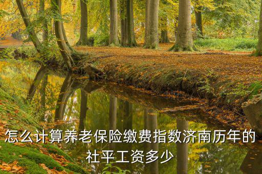 怎么計(jì)算養(yǎng)老保險(xiǎn)繳費(fèi)指數(shù)濟(jì)南歷年的社平工資多少