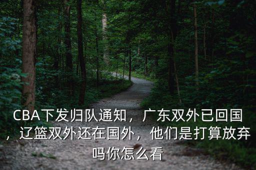 國外怎么看廣東,廣東雙外已回國
