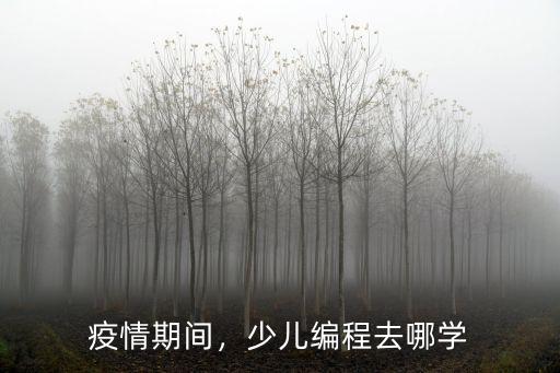 佛山哪里有學少兒編程,少兒編程去哪學
