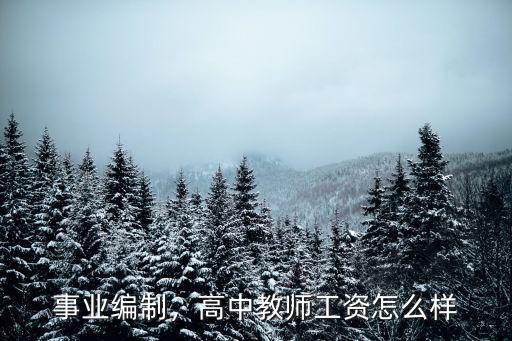 梅州事業編教師工資多少,高中教師工資怎么樣