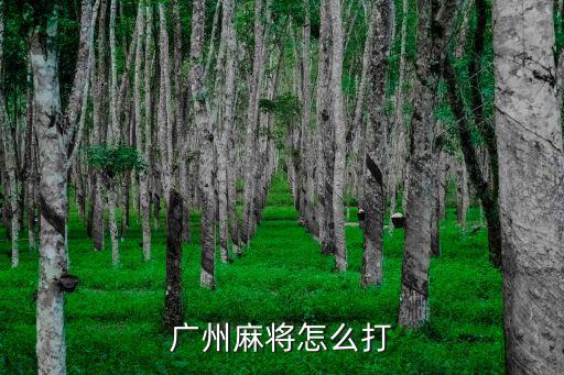廣州哪里有學習麻將的,廣州哪里有夜校學習技術