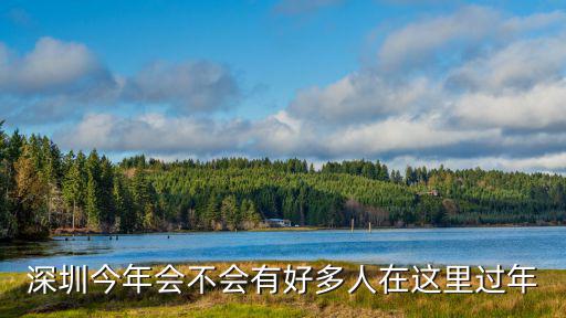 深圳人怎么拜年,一個人無親無故在深圳過年