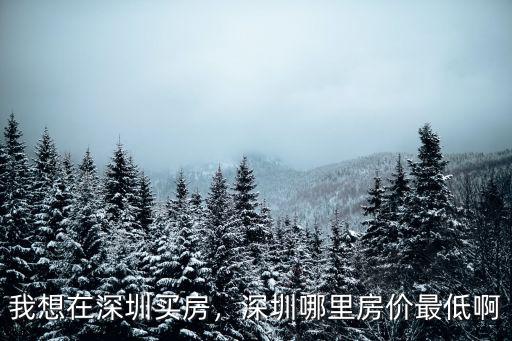 丁字樓在深圳哪里,我想在深圳買房
