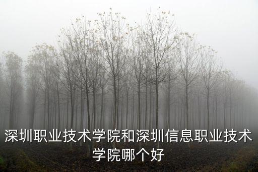 深圳職業(yè)技術(shù)學院和深圳信息職業(yè)技術(shù)學院哪個好