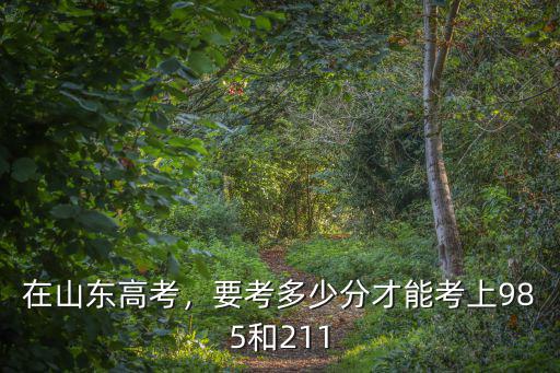 在山東高考，要考多少分才能考上985和211