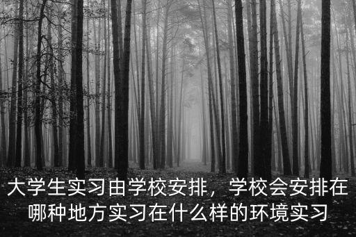 廣東藥科學(xué)生實習(xí)怎么安排的,在什么樣的環(huán)境實習(xí)
