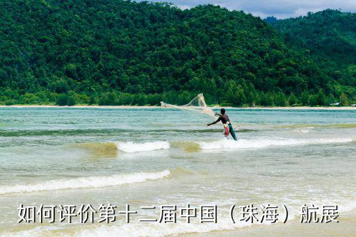 外國人怎么評價(jià)珠海航展無人機(jī),外國人是怎么看