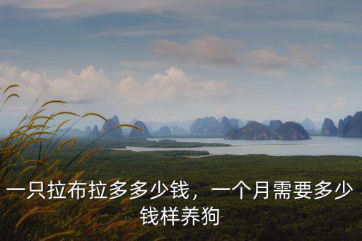 一只拉布拉多多少錢，一個月需要多少錢樣養狗