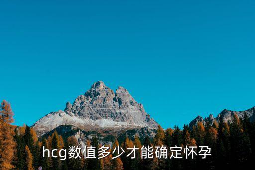 hcg數值多少才能確定懷孕