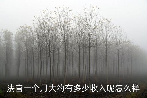 法官一個月大約有多少收入呢怎么樣