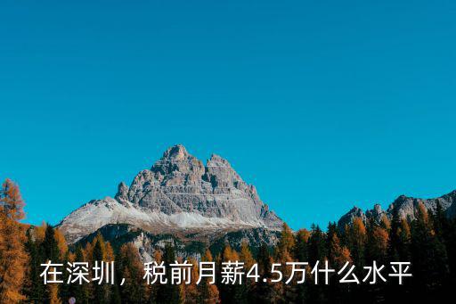 在深圳，稅前月薪4.5萬什么水平