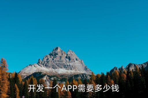 青島開發一個商城app多少錢,做一個商城app需要多少錢