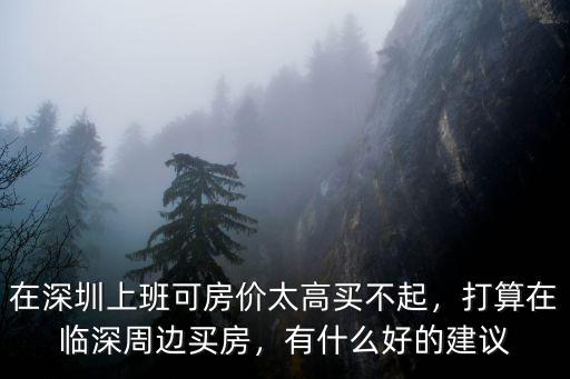 在深圳買房上班怎么樣,在深圳上班可房價太高買不起