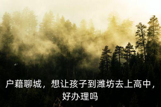 聊城2019屆高中新生多少人,聊城大學怎么樣
