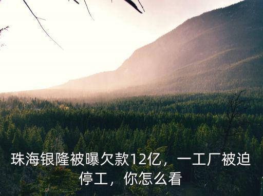 珠海銀隆欠款多少,珠海銀隆內訌