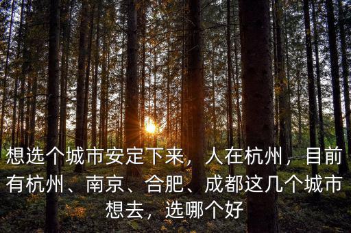 杭州搖號現階段多少人,杭州7月31日階梯搖號
