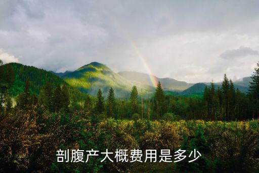 剖腹產(chǎn)大概費(fèi)用是多少