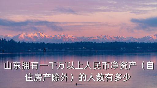 山東擁有一千萬以上人民幣凈資產（自住房產除外）的人數有多少