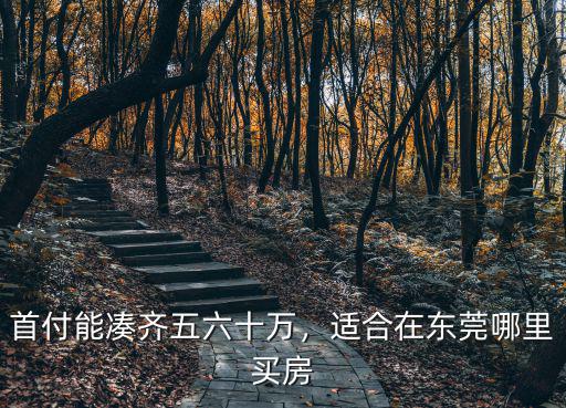 首付能湊齊五六十萬，適合在東莞哪里買房