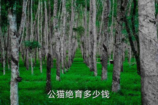 公貓絕育多少錢(qián)
